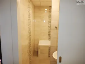 Prodej bytu 2+1, Chomutov, Bezručova, 59 m2