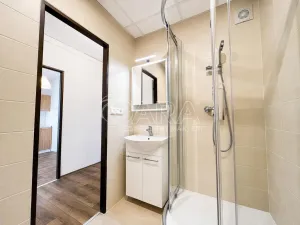 Pronájem bytu 2+kk, Kladno - Kročehlavy, Holandská, 49 m2
