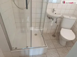 Pronájem bytu 1+kk, Praha - Michle, Týmlova, 23 m2