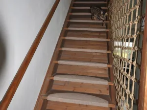 Prodej rodinného domu, Olomouc, Nový Dvůr, 122 m2