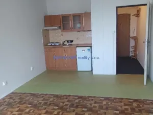 Pronájem bytu 1+kk, Hradec Králové, Pod Zámečkem, 30 m2