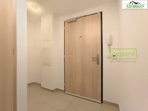 Pronájem bytu 1+1, Praha, Petržílkova, 40 m2