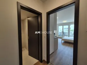 Pronájem bytu 1+kk, Praha - Vysočany, Poděbradská, 35 m2