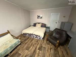 Prodej pokoje, Most, Průjezdná, 129 m2