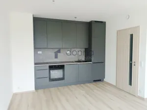 Pronájem bytu 2+kk, Praha, Hodkovická, 45 m2