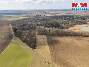 Prodej lesa, Bohuslavice, 11971 m2