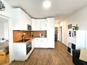 Pronájem bytu 4+kk, Praha, U dělnického cvičiště, 70 m2
