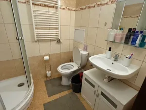 Pronájem bytu 1+kk, Liberec - Liberec II-Nové Město, Chrastavská, 38 m2