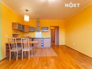 Pronájem bytu 1+kk, Zábřeh, Mánesova, 34 m2