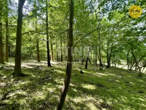 Prodej lesa, Městečko Trnávka - Pěčíkov, 16440 m2