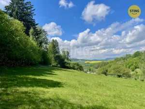 Prodej lesa, Městečko Trnávka - Pěčíkov, 16440 m2