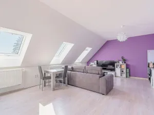 Prodej rodinného domu, Štěpánov, Novoveská, 210 m2