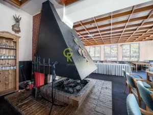 Prodej ubytování, Nové Hutě, 2776 m2