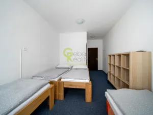 Prodej ubytování, Nové Hutě, 2776 m2