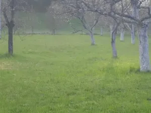 Prodej pozemku pro bydlení, Holštejn, 1229 m2