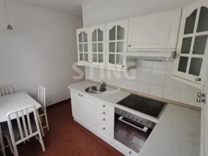Pronájem bytu 2+1, Postřelmov, Nová, 9 m2