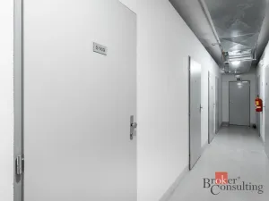 Pronájem bytu 1+kk, Praha, Olšanská, 39 m2