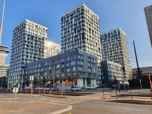 Pronájem bytu 1+kk, Praha - Žižkov, Olšanská, 40 m2