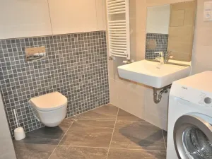Pronájem bytu 1+kk, Praha - Žižkov, Olšanská, 40 m2