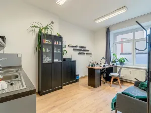 Pronájem komerční nemovitosti, Prostějov, Wolkerova, 62 m2