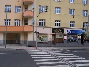 Prodej činžovního domu, Osek, Lidická, 500 m2