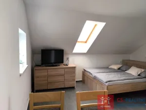 Prodej ubytování, Dyjákovice, 226 m2