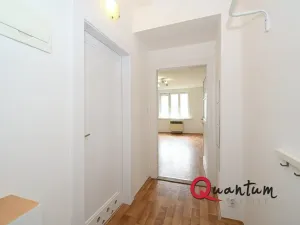 Pronájem bytu 1+kk, Praha - Vinohrady, Fričova, 31 m2