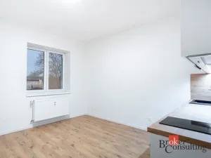Pronájem bytu 1+kk, Ostrava - Přívoz, Palackého, 22 m2