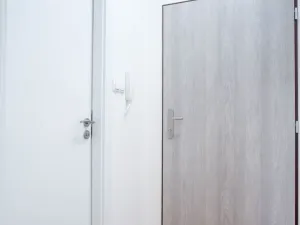 Pronájem bytu 1+kk, Ostrava - Přívoz, Palackého, 22 m2