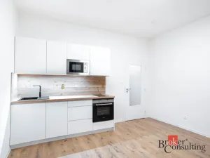Pronájem bytu 1+kk, Ostrava - Přívoz, Palackého, 22 m2