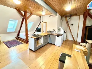 Prodej rodinného domu, Plzeň - Božkov, 270 m2