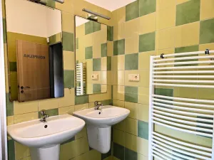 Prodej ubytování, Třinec, Husova, 360 m2