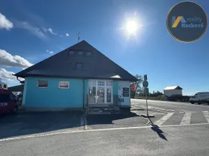 Prodej ubytování, Oseček, 1000 m2