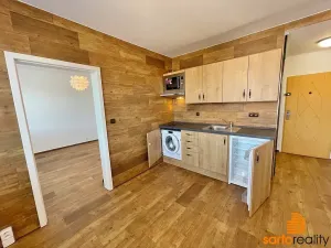 Pronájem bytu 1+1, Ústí nad Labem, Zahradní, 33 m2