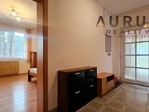 Pronájem bytu 1+kk, Praha - Radotín, Sobětická, 30 m2