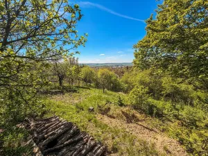 Prodej zahrady, Slavkov u Brna, Palackého náměstí, 793 m2