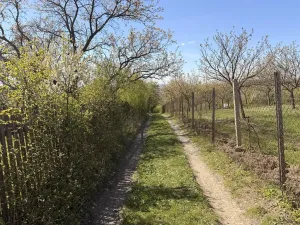 Prodej zahrady, Slavkov u Brna, Palackého náměstí, 793 m2