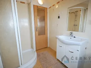 Prodej bytu 1+kk, Liberec, U Sadu, 29 m2