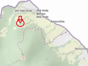 Prodej lesa, Bílá Voda, 6175 m2