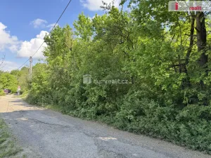 Prodej louky, Uherské Hradiště, Partyzánská, 5056 m2