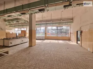 Pronájem výrobních prostor, Příbram - Příbram VI-Březové Hory, K Podlesí, 731 m2