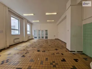 Pronájem komerční nemovitosti, Příbram - Příbram VI-Březové Hory, K Podlesí, 90 m2