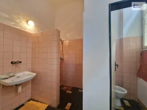 Pronájem komerční nemovitosti, Příbram - Příbram VI-Březové Hory, K Podlesí, 90 m2