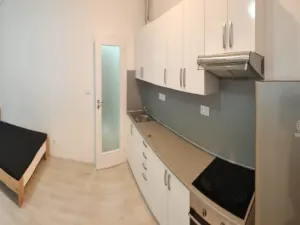 Pronájem bytu 1+kk, České Budějovice - České Budějovice 2, U Lesa, 26 m2