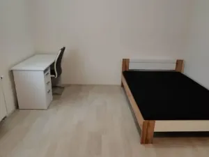 Pronájem bytu 1+kk, České Budějovice - České Budějovice 2, U Lesa, 26 m2
