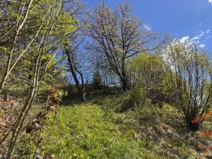Prodej rodinného domu, Skuhrov nad Bělou, 46 m2