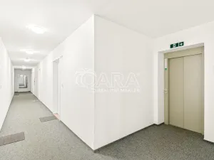 Pronájem bytu 2+kk, Praha - Vinohrady, Perucká, 41 m2