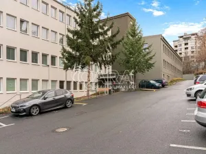 Pronájem bytu 2+kk, Praha - Vinohrady, Perucká, 41 m2