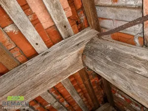 Prodej rodinného domu, Nemotice, 60 m2
