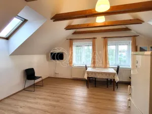 Pronájem bytu 1+kk, Čelákovice, Masarykova, 33 m2